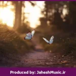 دانلود آهنگ رویا “ریمیکس رپی غمگین” از ناجی و دانیال ان بی و مسلک و شایع و ددی